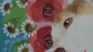 9FB1C2D6-3246-4C05-86E4-