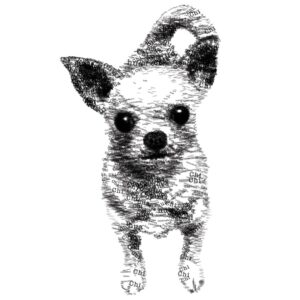 チワワの似顔絵