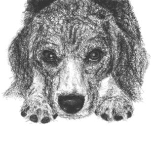 ワンちゃんの胸像の似顔絵