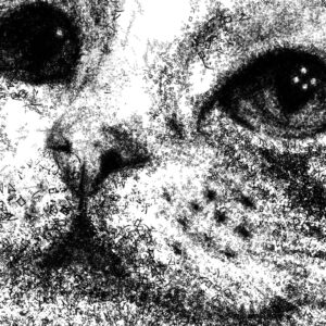 ネコの似顔絵２