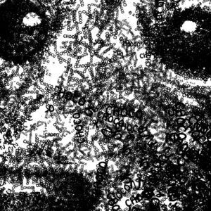 愛犬ちょこちゃんの似顔絵２