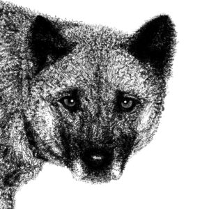 愛犬レオちゃんの似顔絵