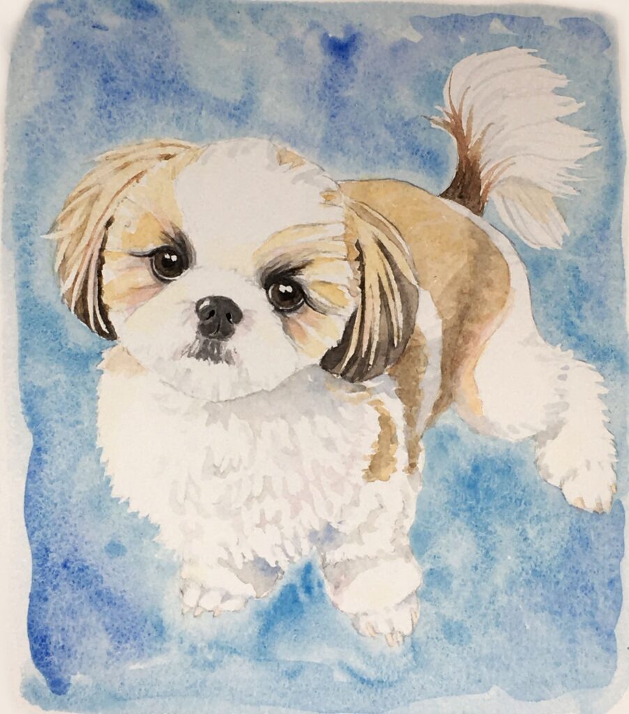 手書きの水彩画に、デジタルイラストも！もかだまアートショップ