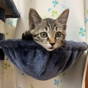 さくさんプロフィール画像