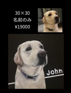 30×30名前のみワンちゃん1頭