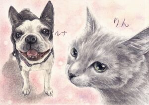 犬猫　イラスト