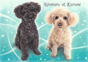 プードル　イラスト