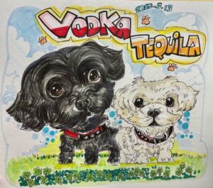 スタジオロエス