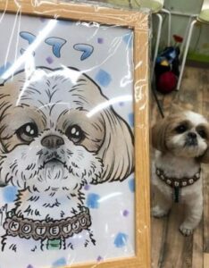 トリガードリームズスタジオ（にしかわひろみつ）