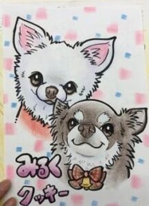 トリガードリームズスタジオ（にしかわひろみつ）