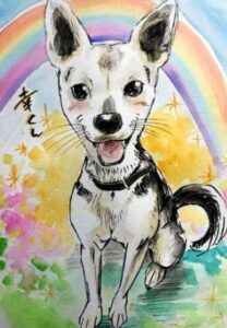 オルガティオギャラリー