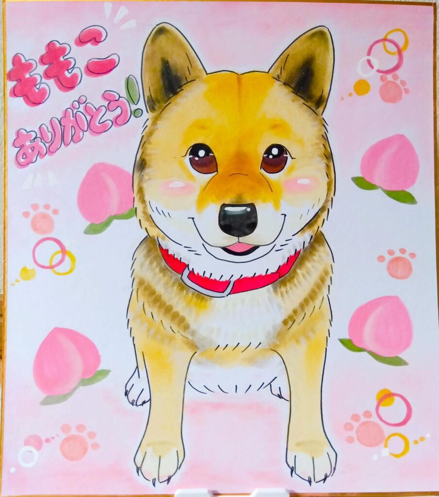 柴犬　ももこ　似顔絵（なおみ）
