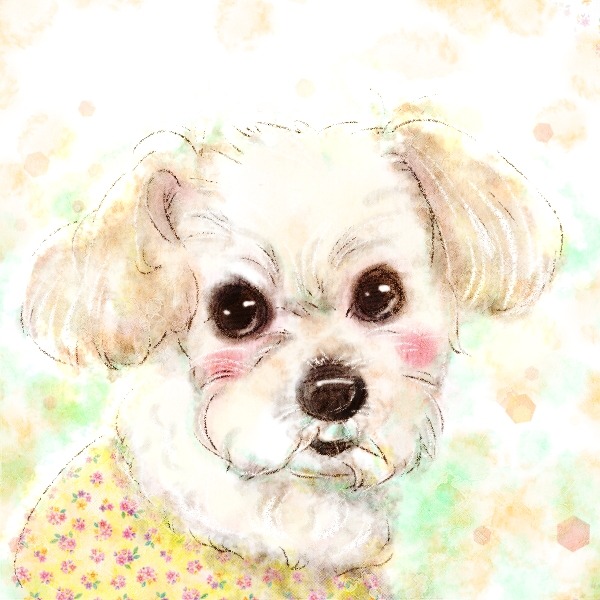 似顔絵作家 mii 犬の似顔絵(マルチーズ)
